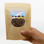 Tenebrios Deshidratados 100gr